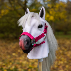 Snow flake Snow flake