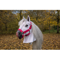 Sněhová vločka (Snow flake) Sněhová vločka (Snow flake)
