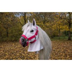 Sněhová vločka (Snow flake) Sněhová vločka (Snow flake)