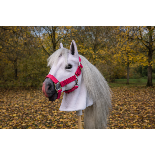 Sněhová vločka (Snow flake) Sněhová vločka (Snow flake)