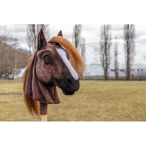 Ohnivý kaštan (Fiery Chestnut) Ohnivý kaštan (Fiery Chestnut)